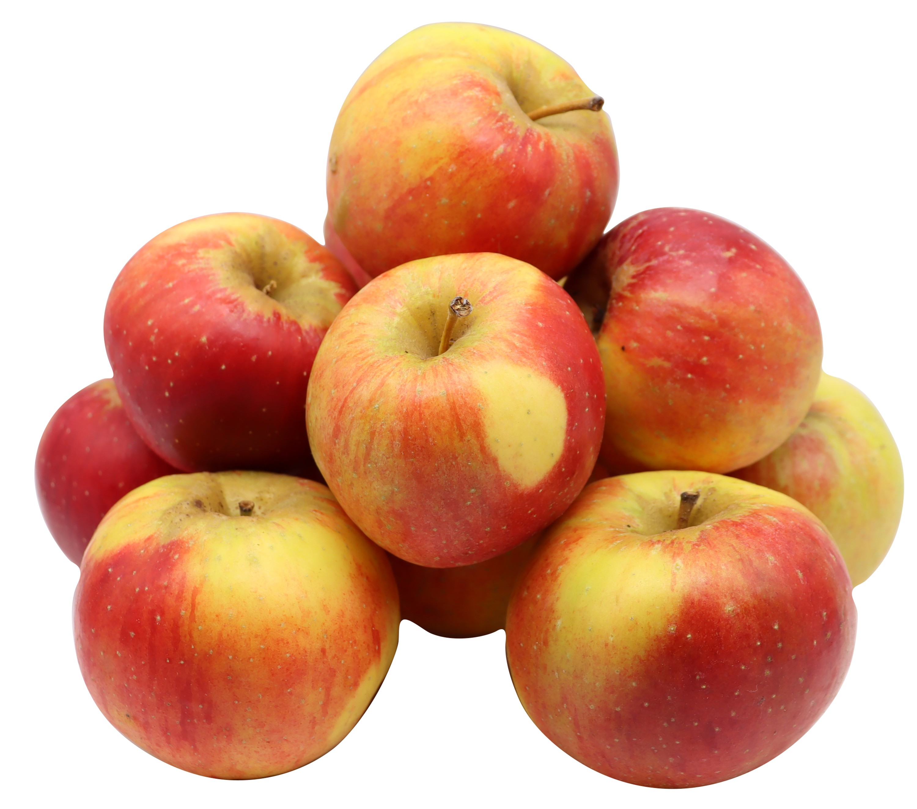 BLEICHHOF® Äpfel Relinda – sehr fest, säuerlich, fruchtiges, an Mandarinen erinnerndes Aroma (5kg) BLEICHHOF® Äpfel Relinda – sehr fest, säuerlich, fruchtiges, an Mandarinen erinnerndes Aroma (5kg)