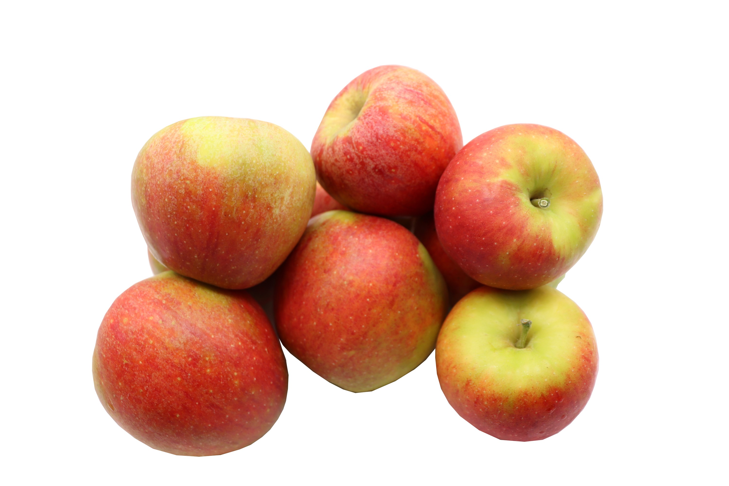BLEICHHOF® Äpfel Pilot – feste säuerliche Sorte aus der Pfalz, Neue Ernte (5kg) BLEICHHOF® Äpfel Pilot – feste säuerliche Sorte aus der Pfalz, Neue Ernte (5kg)