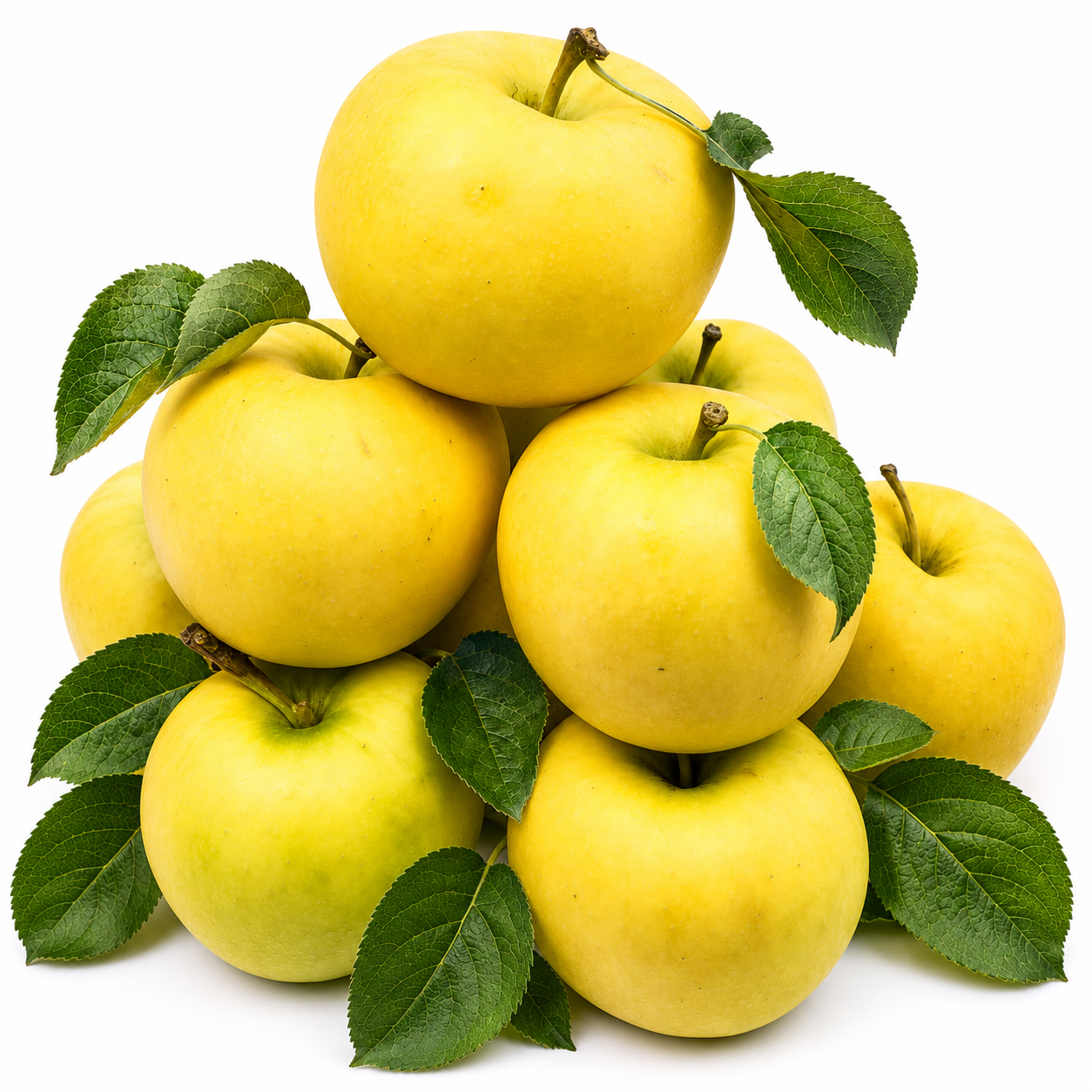 BLEICHHOF® Apples Sonnenglanz Allergy-friendly - fruity, tart variety from the Palatinate, new harvest (5kg)
