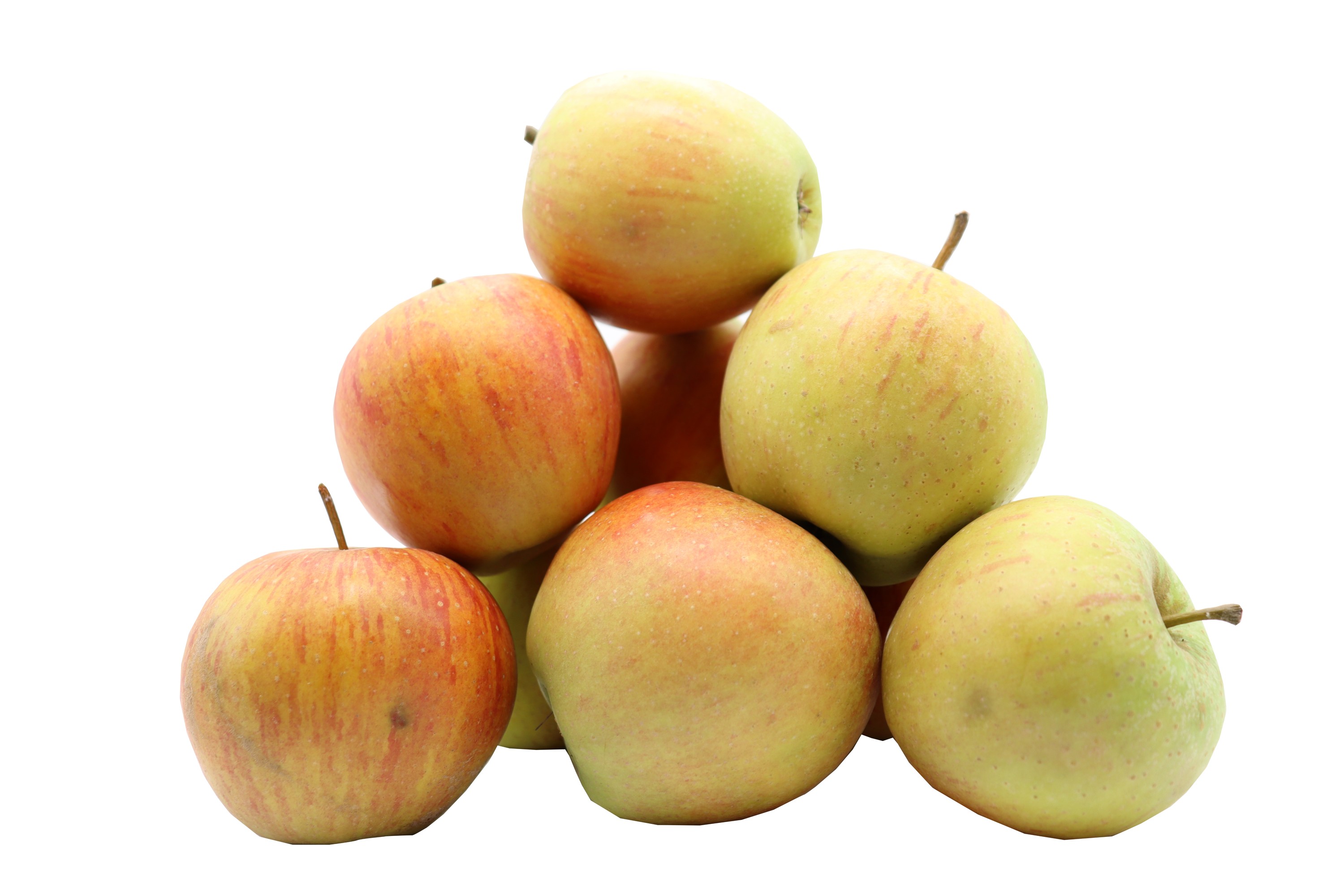 BLEICHHOF® Äpfel Rubinette – saftig, fein-säuerliches Cox Orange Aroma, aus der Pfalz, Neue Ernte (10kg) BLEICHHOF® Äpfel Rubinette – saftig, fein-säuerliches Cox Orange Aroma, aus der Pfalz, Neue Ernte (10kg)