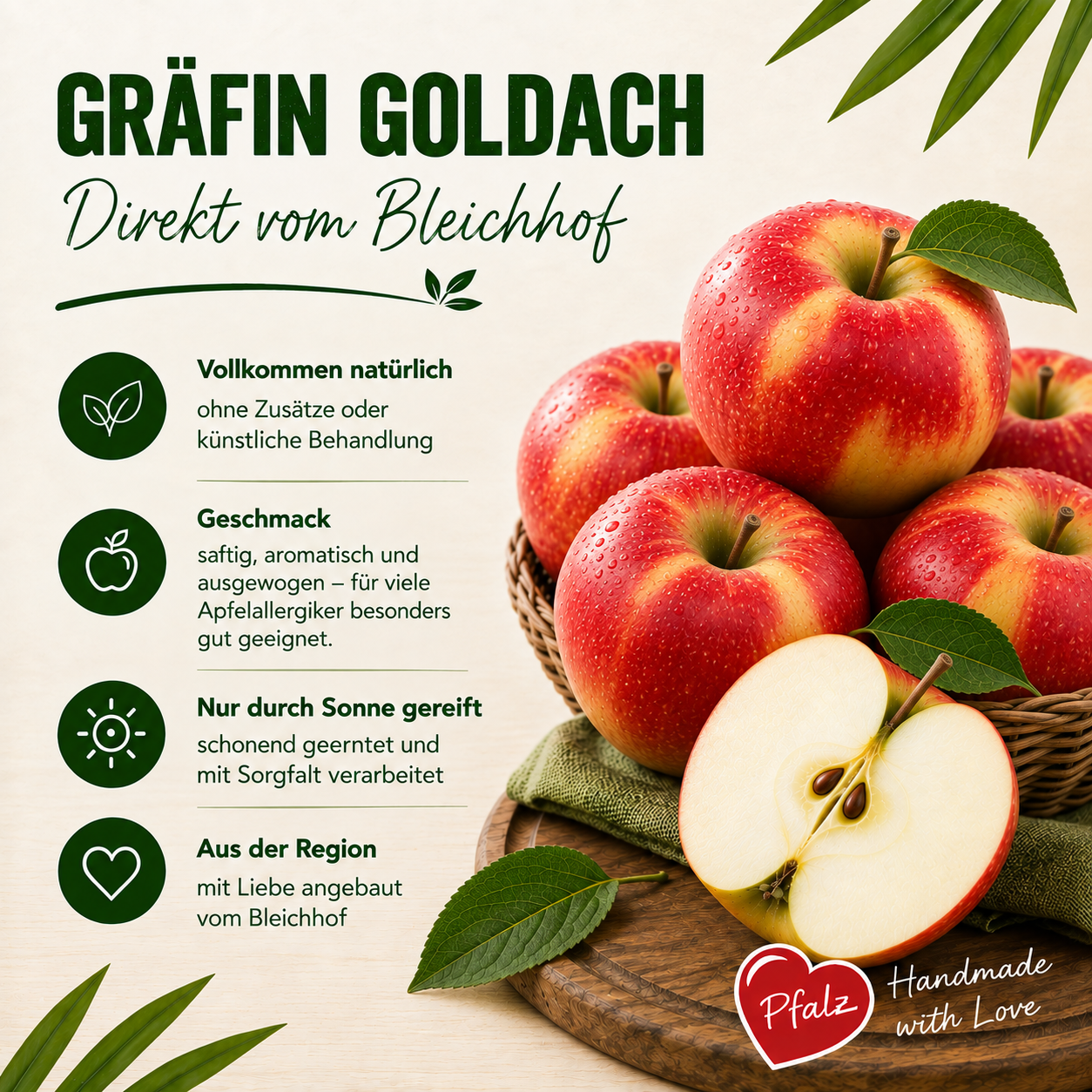BLEICHHOF® Äpfel Gräfin Goldach - Allergikerfreundlich, Süß-Säuerliche Sorte aus der Pfalz (3kg)