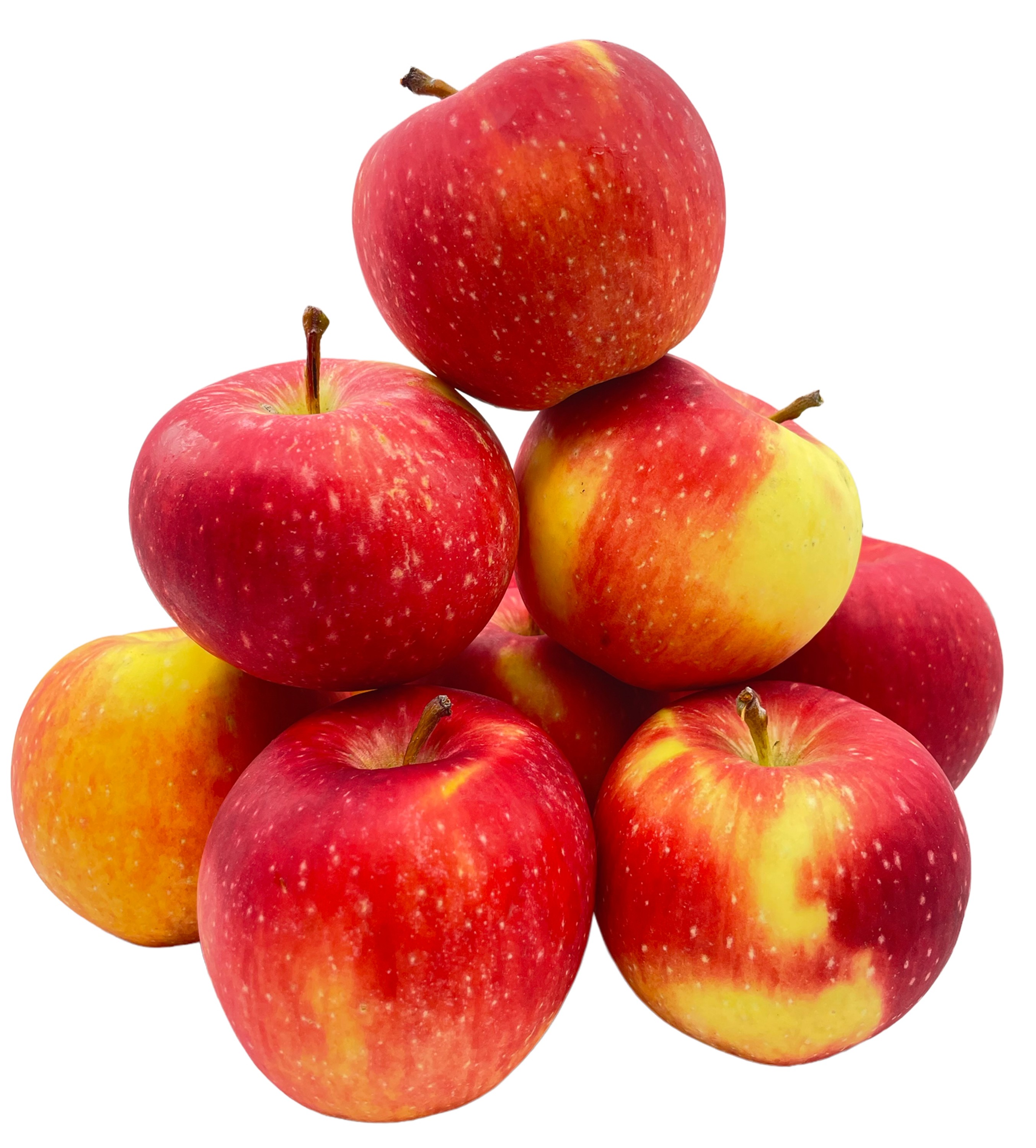 BLEICHHOF® Äpfel Gräfin Goldach Allergikerfreundlich - Süß-Säuerliche Sorte aus der Pfalz, Neue Ernte (5kg) BLEICHHOF® Äpfel Gräfin Goldach Allergikerfreundlich - Süß-Säuerliche Sorte aus der Pfalz, Neue Ernte (5kg)