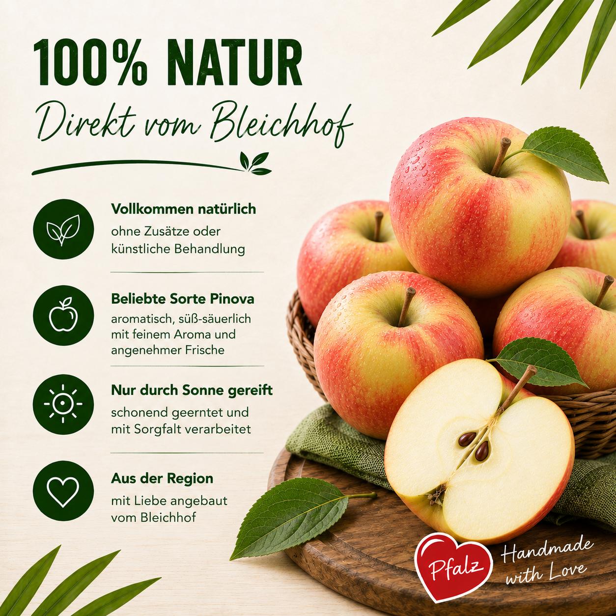 BLEICHHOF® Äpfel Pinova – süß-säuerliche Kreuzung aus Golden Delicious und Clivia(10kg)