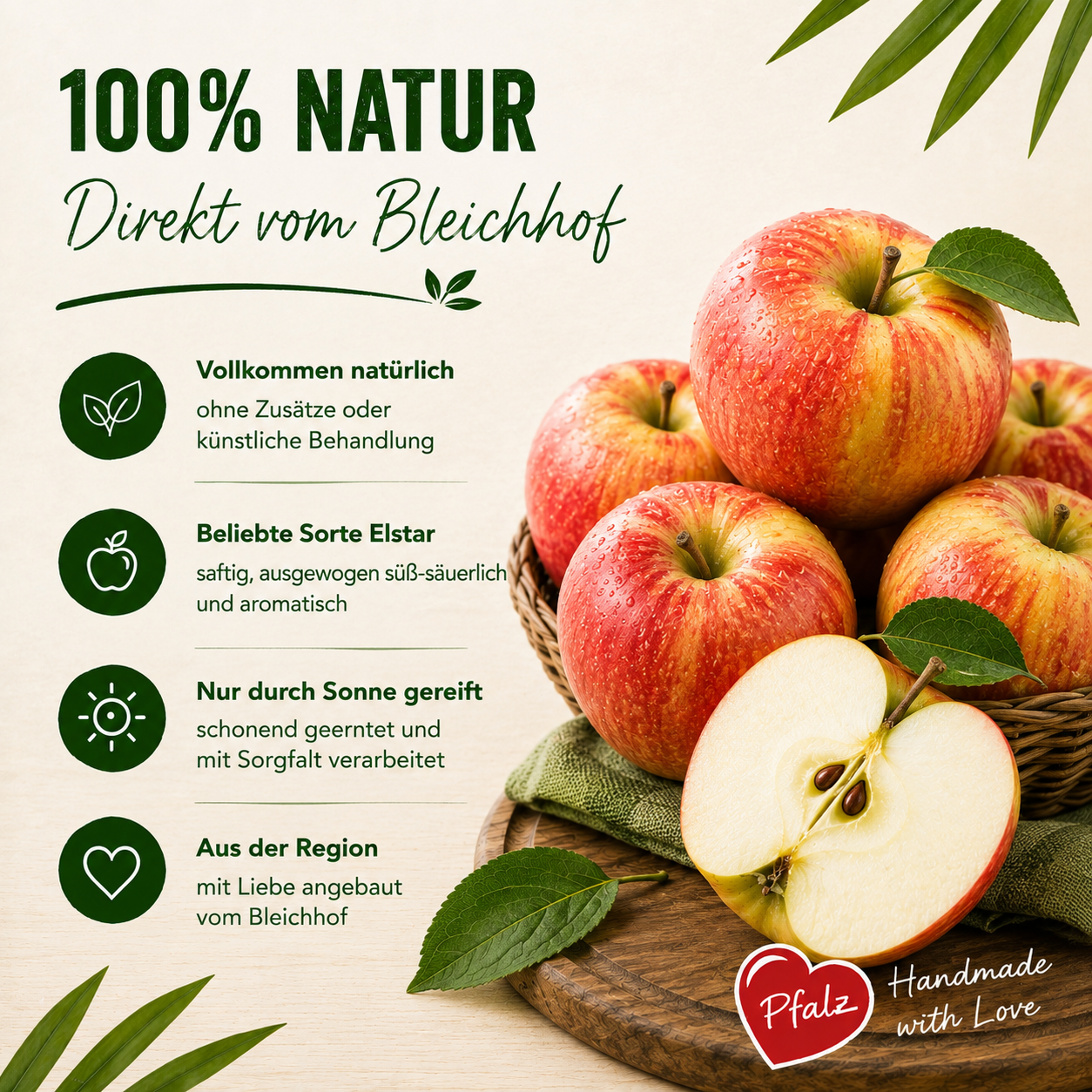 BLEICHHOF® Äpfel Elstar – saftige fein-säuerliche Sorte, aus der Pfalz, Neue Ernte (3kg)