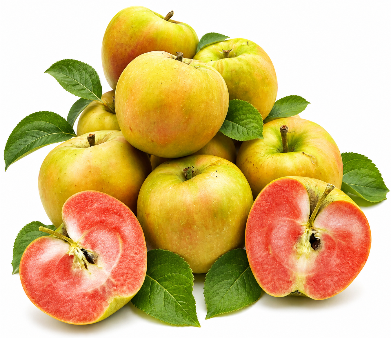 BLEICHHOF® Pinova apples - sweet and tart cross between Golden Delicious and Clivia, new harvest (3kg)