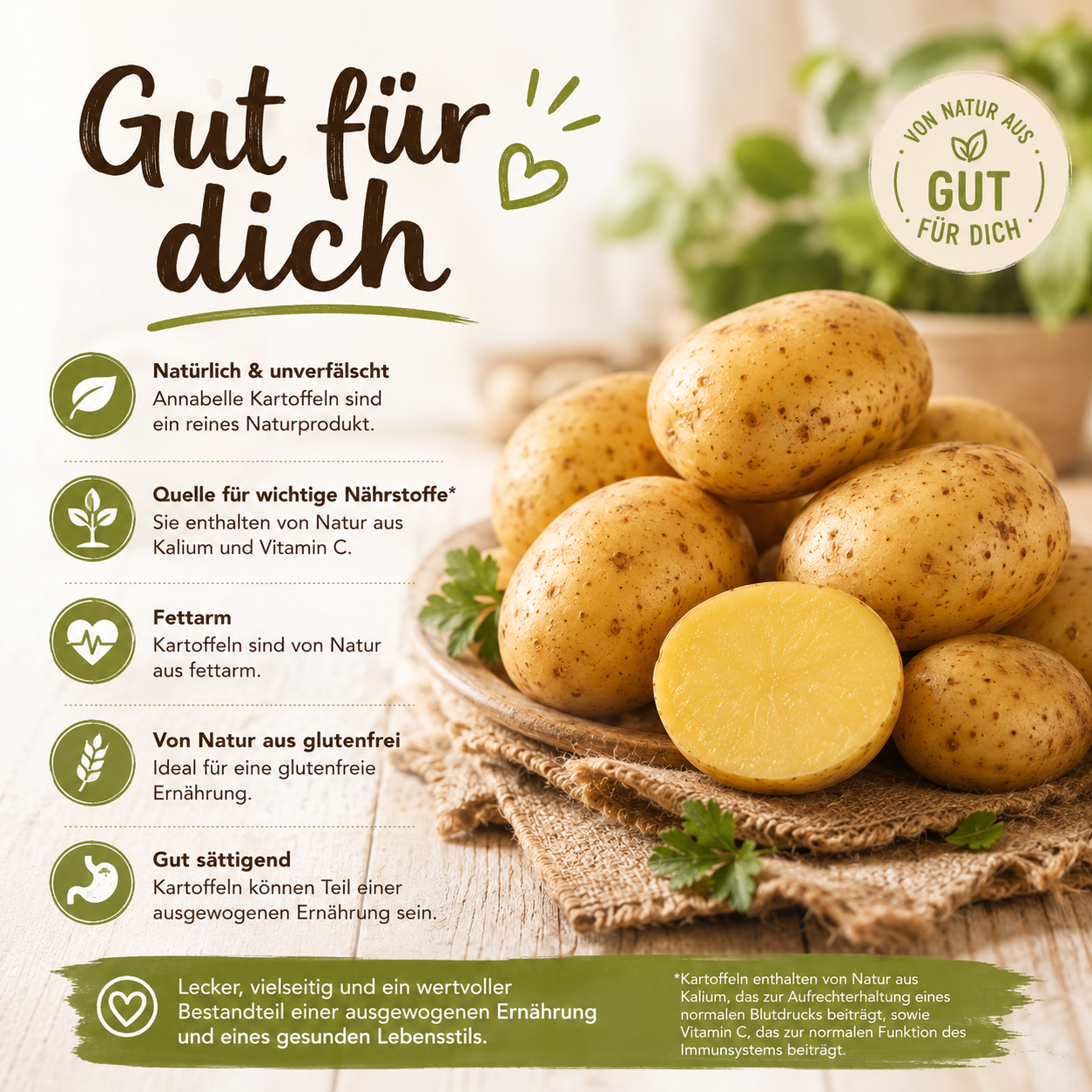 BLEICHHOF® 5kg Annabelle Kartoffeln aus der Pfalz - Sorte: Annabelle festkochend Salatkartoffel, Ernte 2026