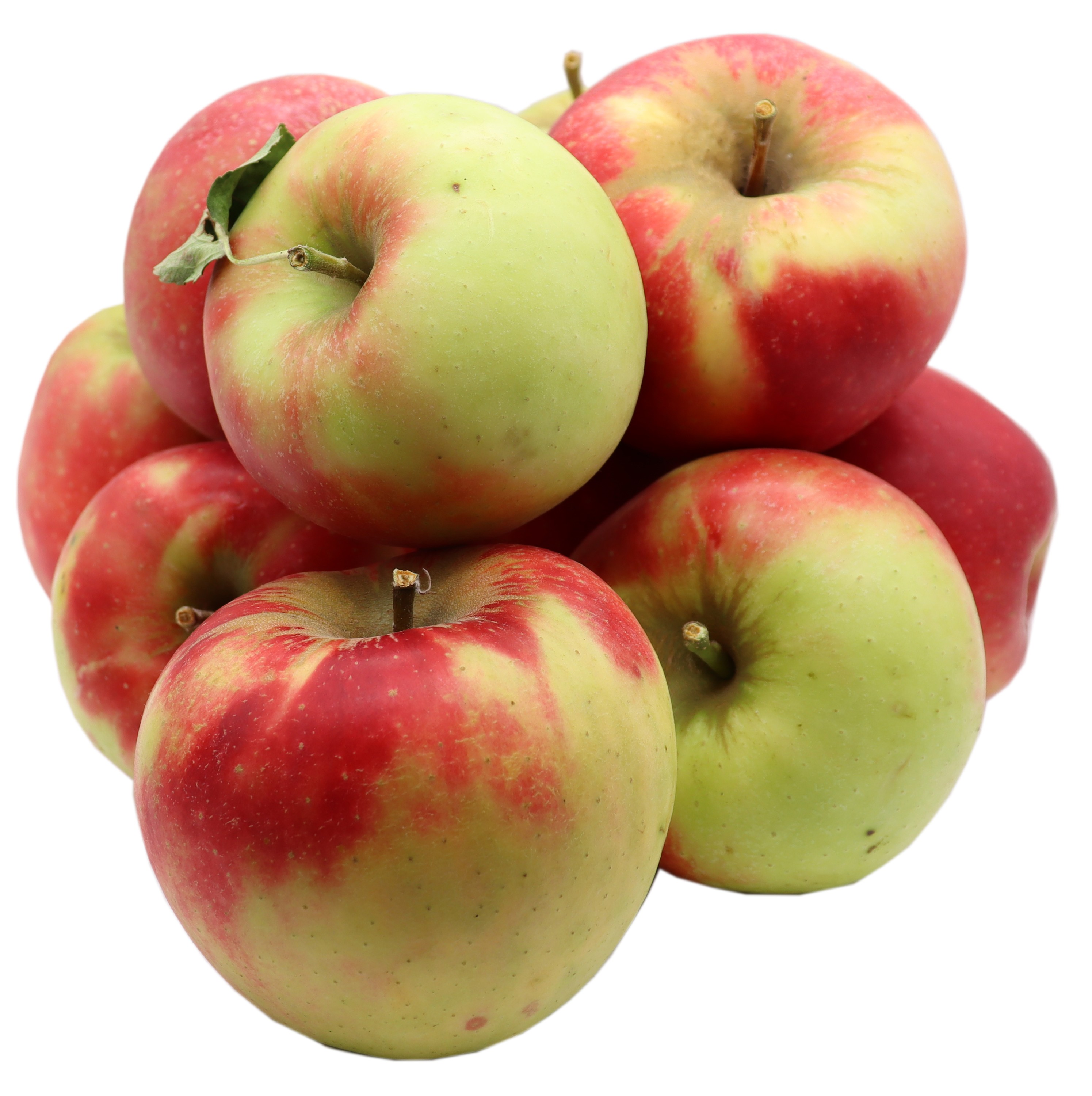 BLEICHHOF® Äpfel Elstar – saftige fein-säuerliche Sorte, aus der Pfalz, Neue Ernte (5kg) BLEICHHOF® Äpfel Elstar – saftige fein-säuerliche Sorte, aus der Pfalz, Neue Ernte (5kg)