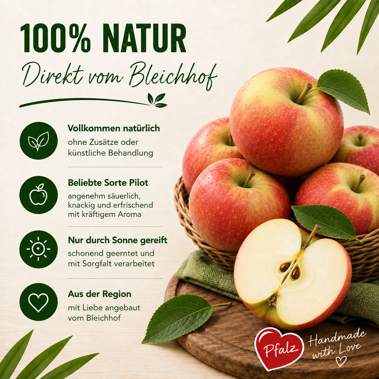 BLEICHHOF® Äpfel Pilot – feste säuerliche Sorte aus der Pfalz (5kg)