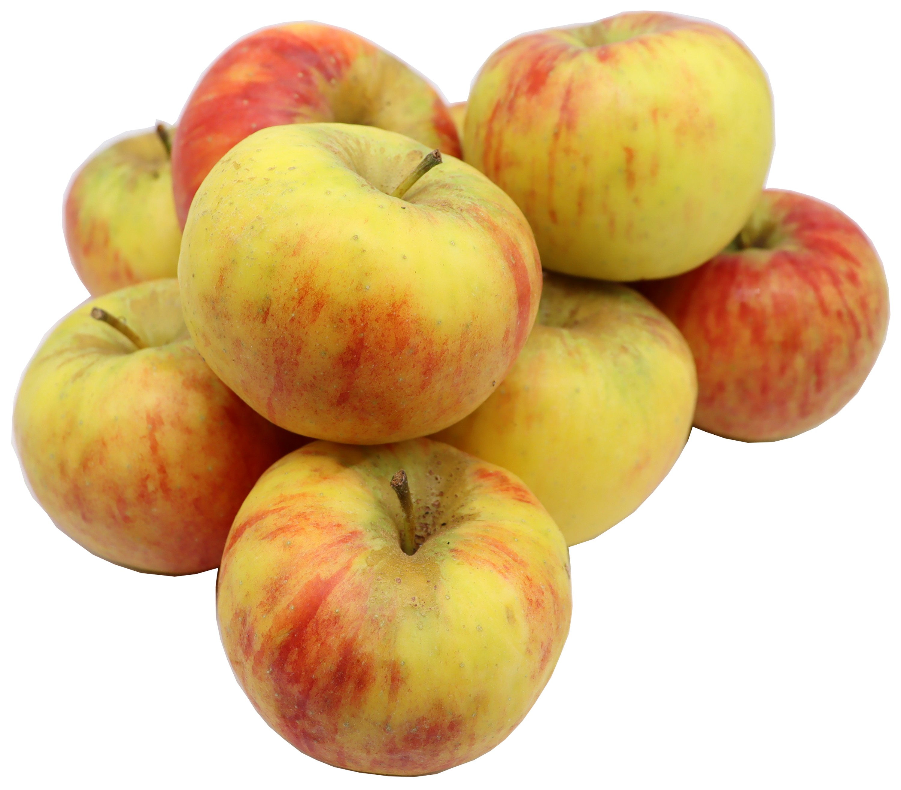 BLEICHHOF® Äpfel Topaz – süß-säuerliche und sehr saftige Sorte aus der Pfalz (5kg) BLEICHHOF® Äpfel Topaz – süß-säuerliche und sehr saftige Sorte aus der Pfalz (5kg)