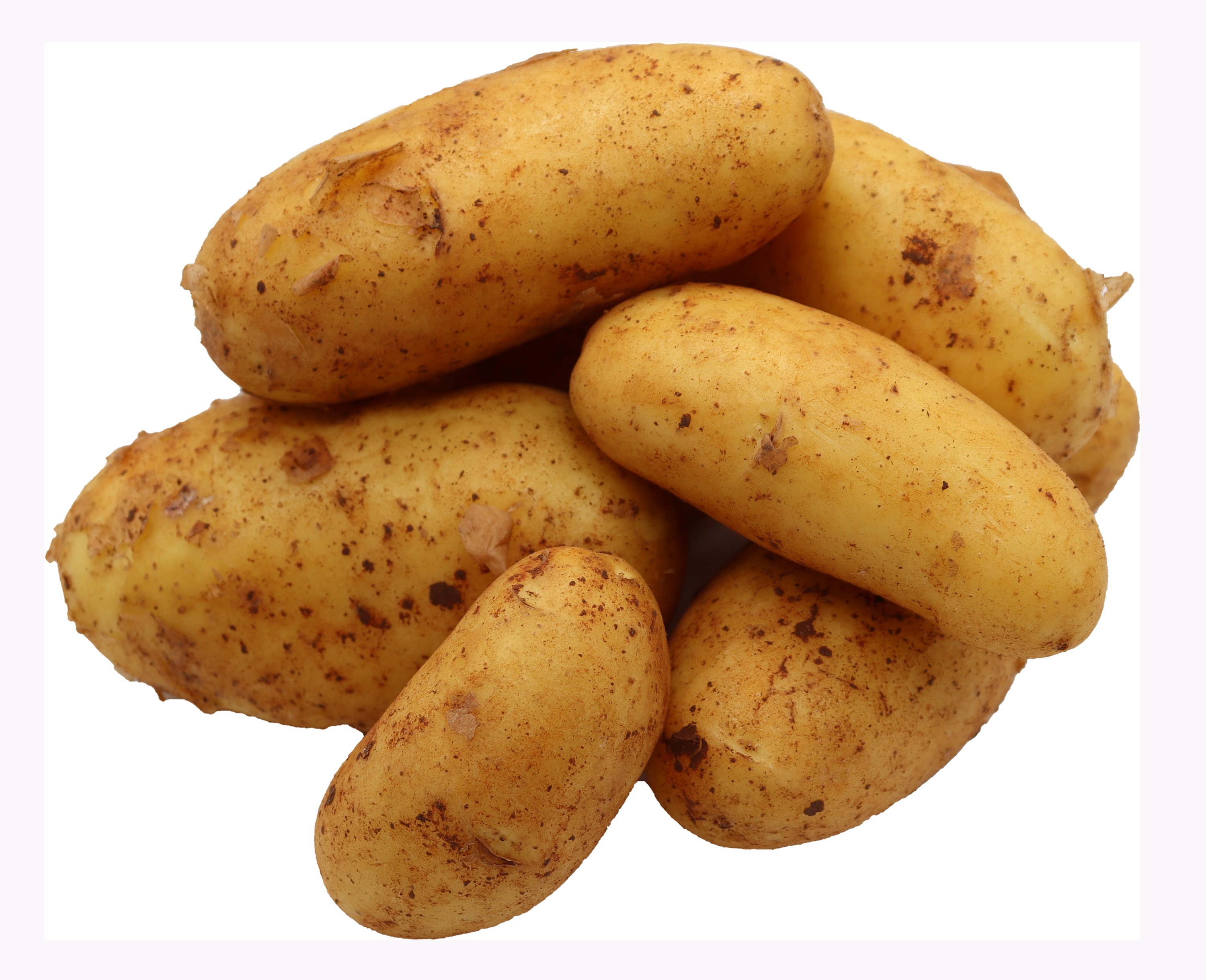 BLEICHHOF® 5kg Annabelle Kartoffeln aus der Pfalz - Sorte: Annabelle festkochend Salatkartoffel, Ernte 2025 BLEICHHOF® 5kg Annabelle Kartoffeln aus der Pfalz - Sorte: Annabelle festkochend Salatkartoffel, Ernte 2025