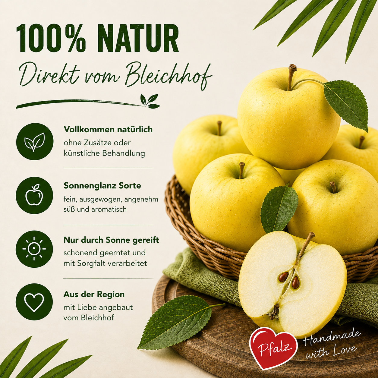 BLEICHHOF® Apples Sonnenglanz - Allergy-friendly, fruity and tart variety from the Palatinate, new harvest (10kg)