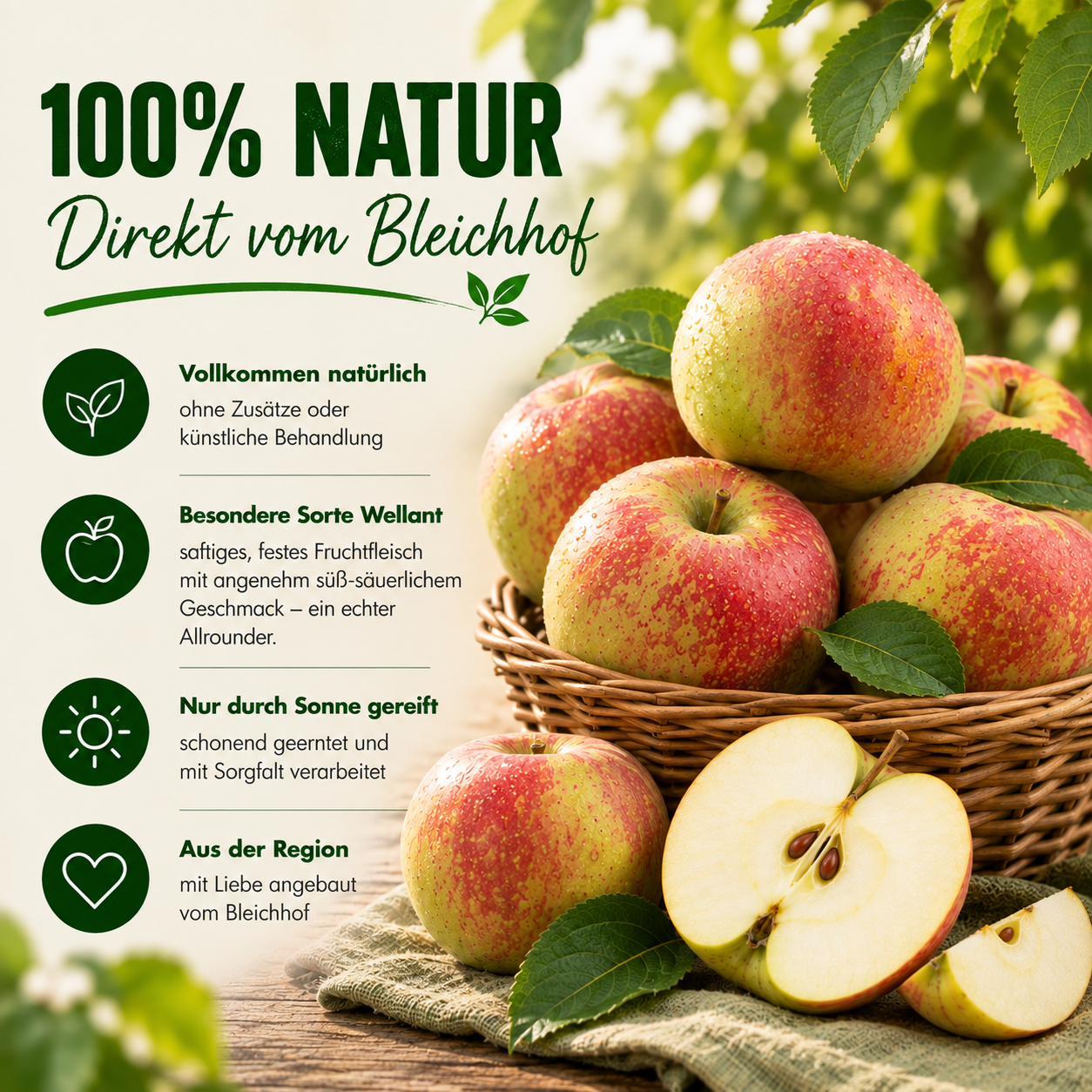 BLEICHHOF® Apples Wellant- fine-sour variety, from the Palatinate, new harvest (10kg)