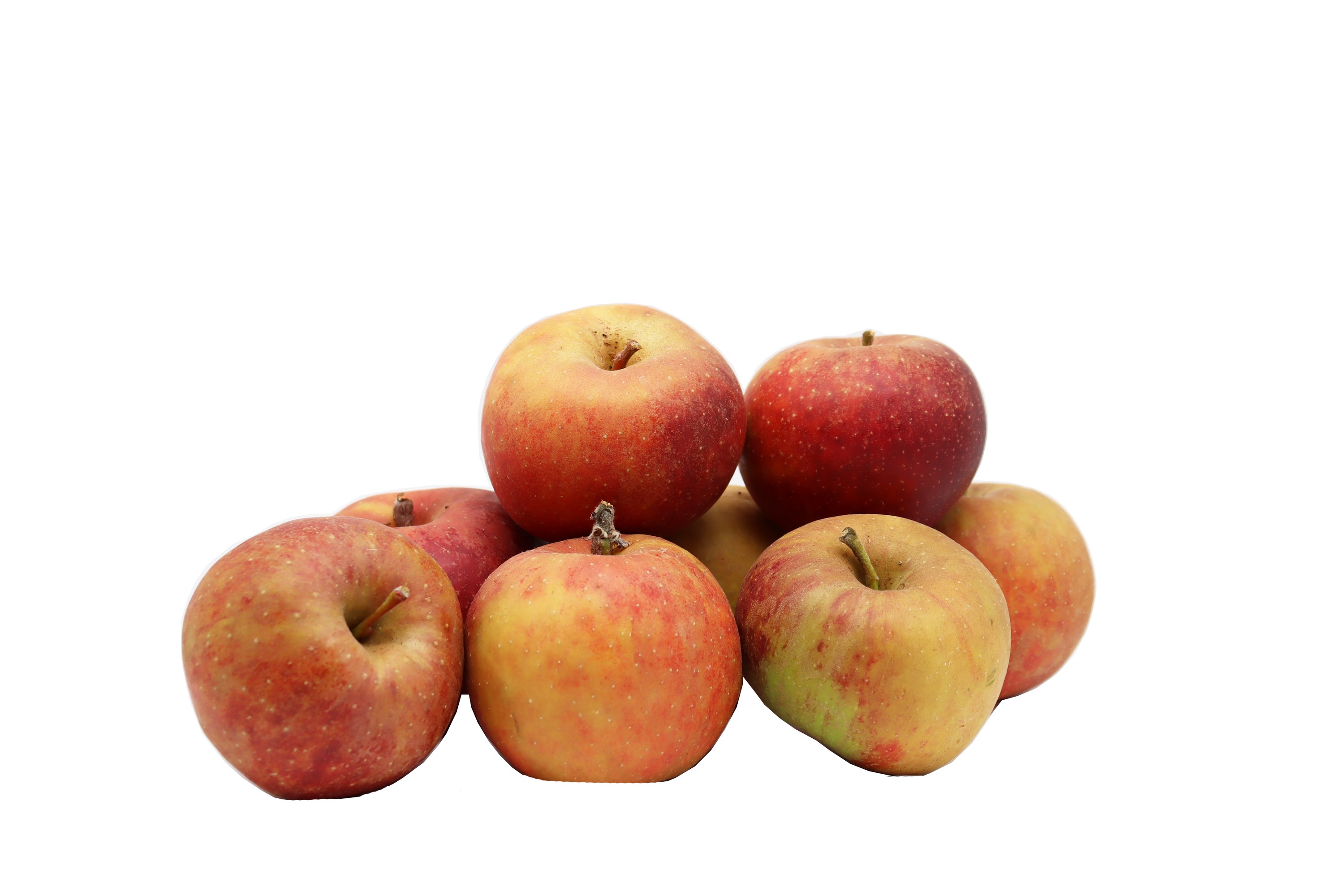 BLEICHHOF® Äpfel Boskop – frisch & knackig, aus der Pfalz (5kg) BLEICHHOF® Äpfel Boskop – frisch & knackig, aus der Pfalz (5kg)