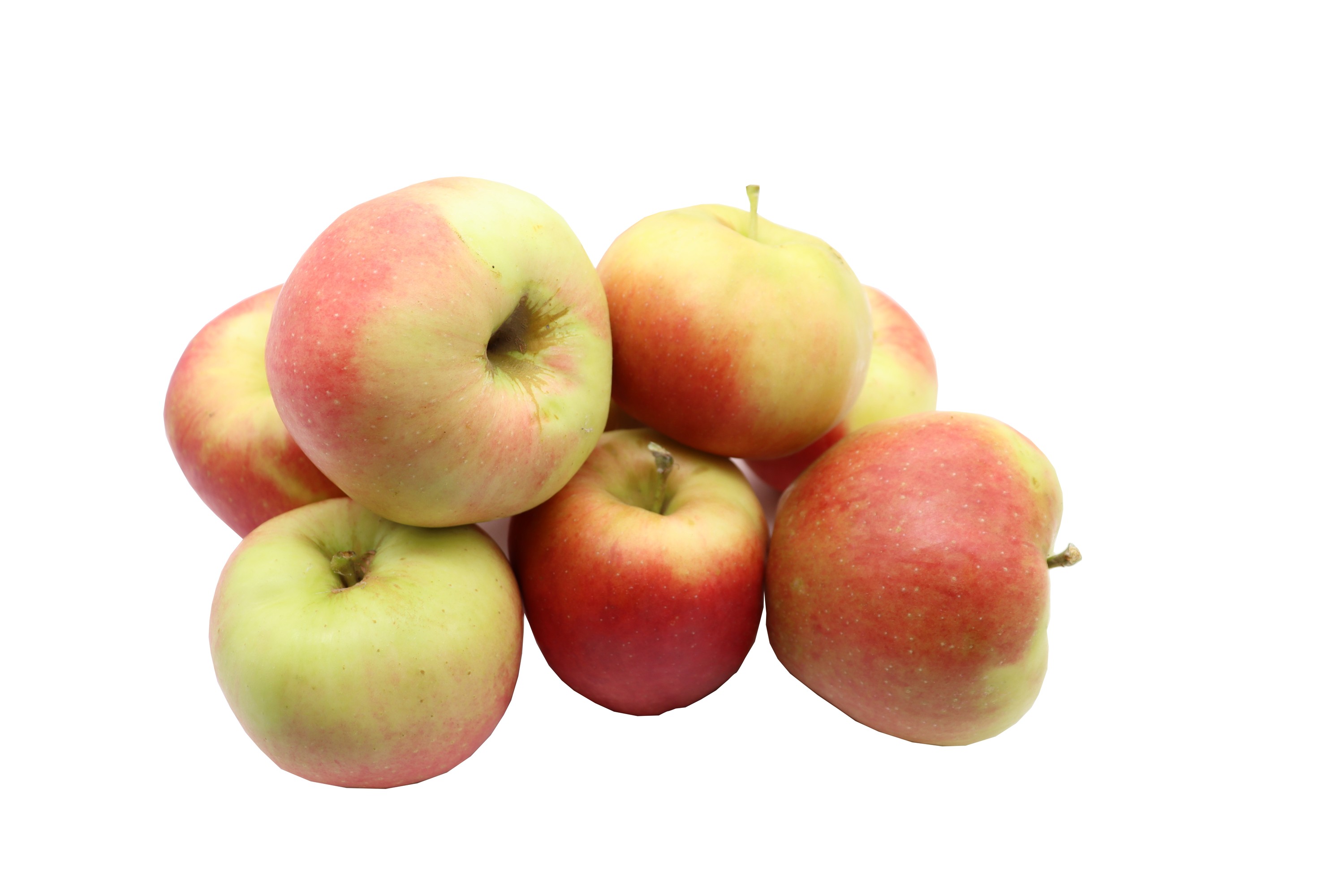BLEICHHOF® Äpfel Mairac - feste, süß-säuerliche Sorte aus der Pfalz, Neue Ernte (5kg) BLEICHHOF® Äpfel Mairac - feste, süß-säuerliche Sorte aus der Pfalz, Neue Ernte (5kg)