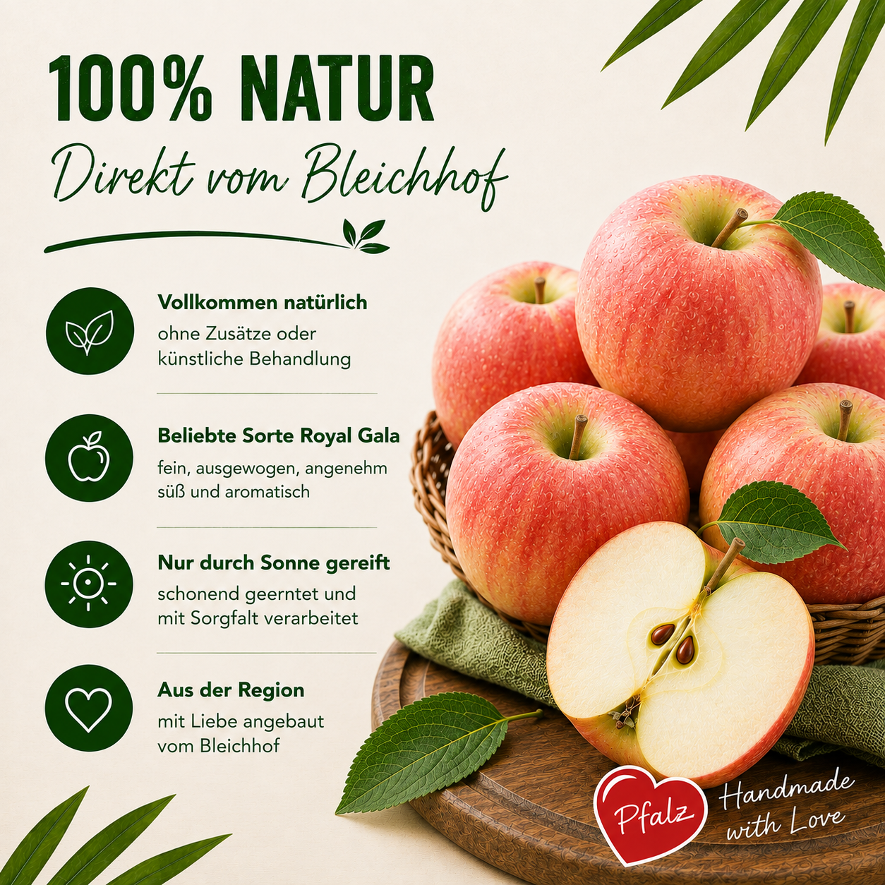 BLEICHHOF® Äpfel Royal Gala - feste, süße Sorte aus der Pfalz, Neue Ernte (3kg)