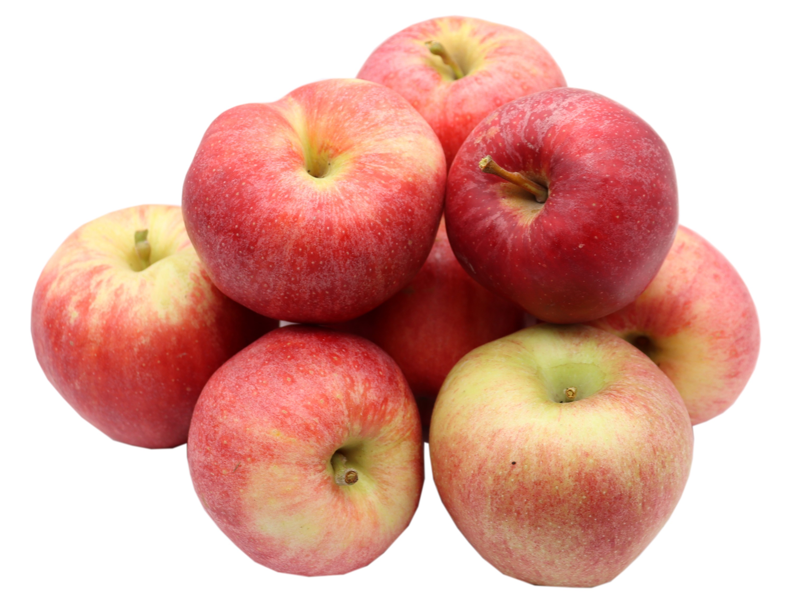 BLEICHHOF® Äpfel Royal Gala - feste, süße Sorte aus der Pfalz, Neue Ernte (7kg) BLEICHHOF® Äpfel Royal Gala - feste, süße Sorte aus der Pfalz, Neue Ernte (7kg)