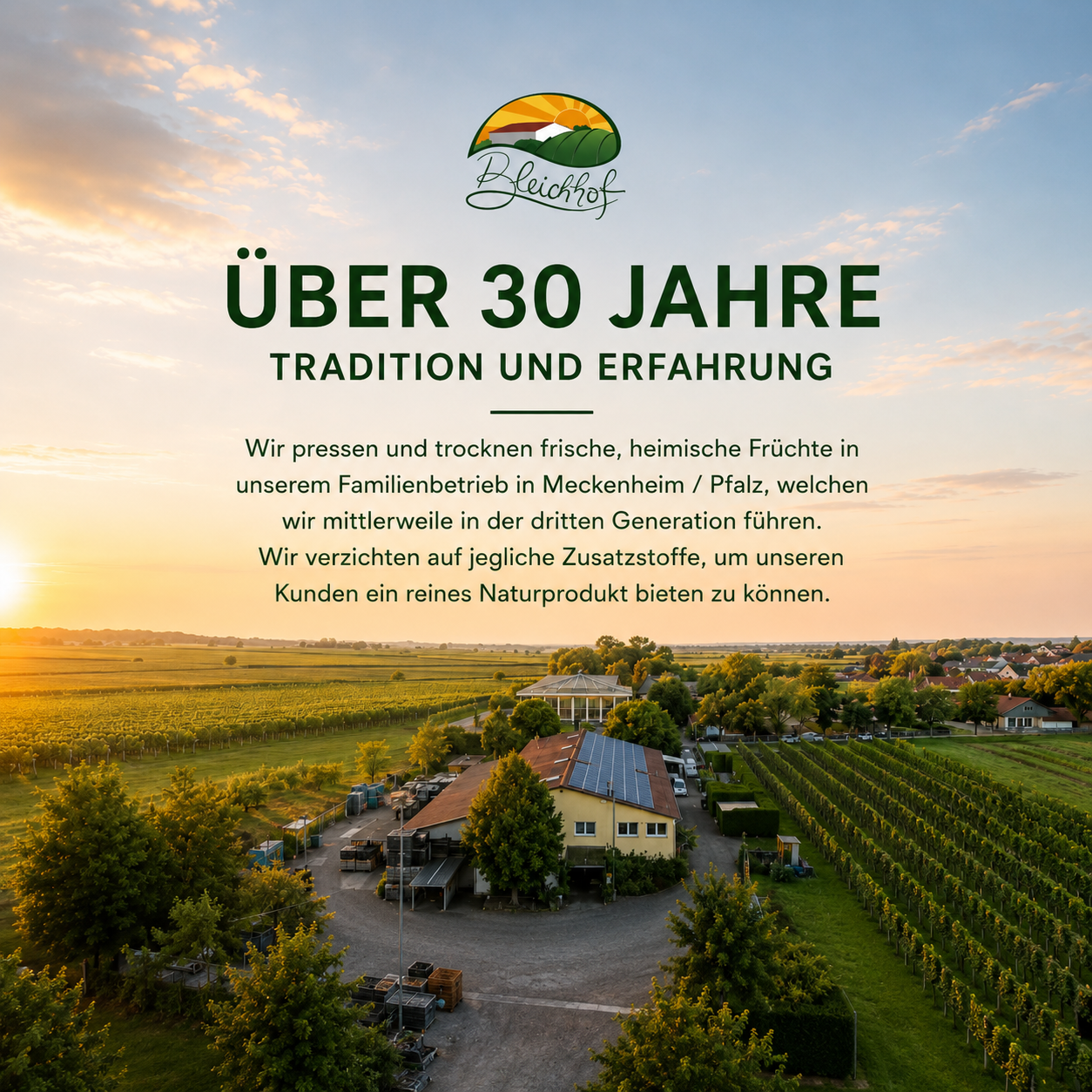 BLEICHHOF® Äpfel Kaiserin Elisabeth - süß-säuerliche Sorte aus der Pfalz (5kg)