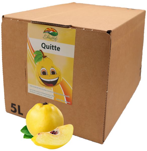 Bleichhof Quittensaft – 100% Direktsaft ohne Zusätze, Bag-in-Box Verpackung mit Zapfsystem (1x 5l Saftbox)