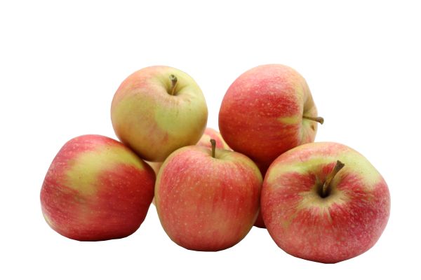 Bleichhof Äpfel Pinova – süß-säuerliche Kreuzung aus Golden Delicious und Clivia (3kg) Neue Ernte