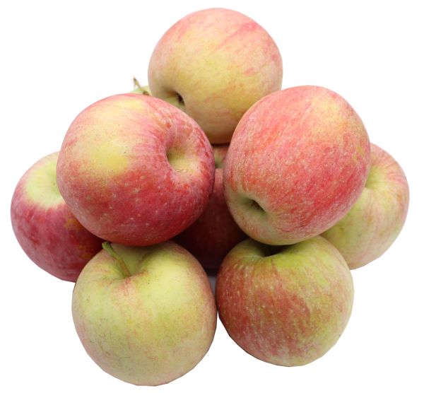 Bleichhof Äpfel Fuji - süße und sehr saftige Sorte aus der Pfalz (3kg) Neue Ernte