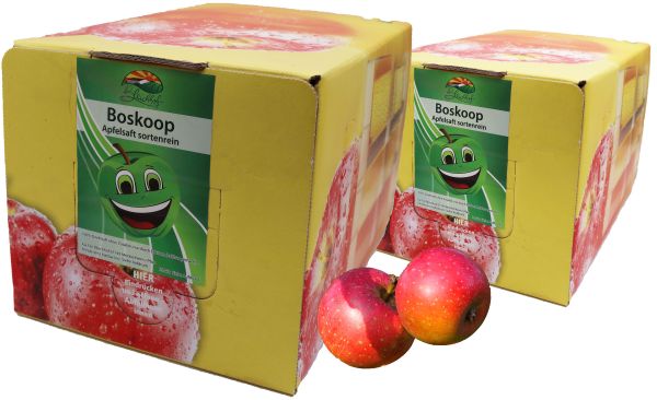 Bleichhof Apfelsaft Boskoop – 100% Direktsaft, OHNE Zuckerzusatz, Bag-in-Box mit Zapfsystem (2x 5l Saftbox)