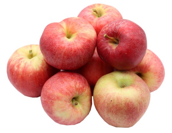 Bleichhof Äpfel Royal Gala - feste, süße Sorte aus der Pfalz (3kg) Neue Ernte