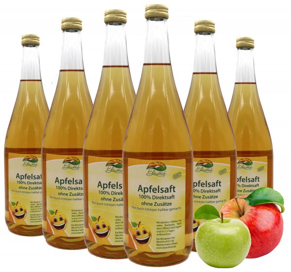 Bleichhof Apfelsaft klar – 100% Direktsaft, naturrein und vegan, OHNE Zuckerzusatz, 6er Pack (6x 0,95l)