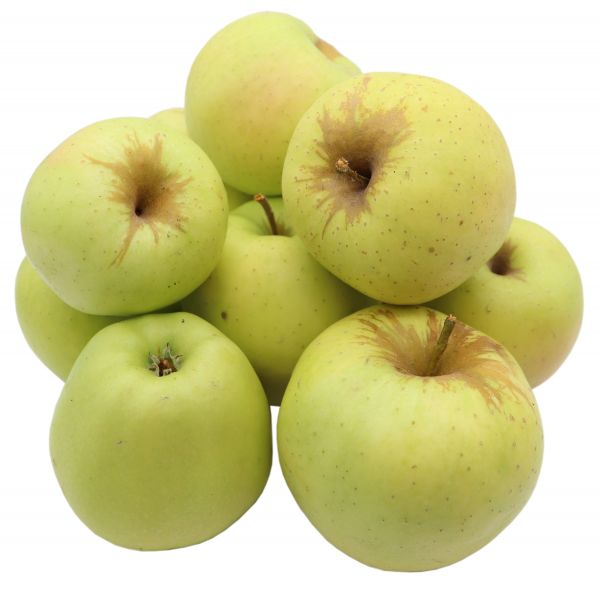Bleichhof Äpfel Golden Delicious - süßaromatische Sorte aus der Pfalz (5kg) Neue Ernte