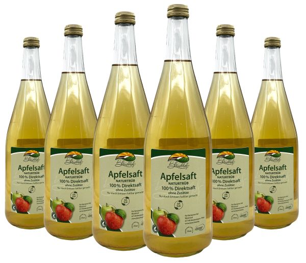 Bleichhof Apfelsaft naturtrüb – 100% Direktsaft, naturrein und vegan, OHNE Zuckerzusatz, 6er Pack (6x 0,95l)