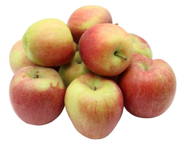 Bleichhof Äpfel Braeburn - süß-herbe knackige Sorte aus der Pfalz (5kg) Neue Ernte