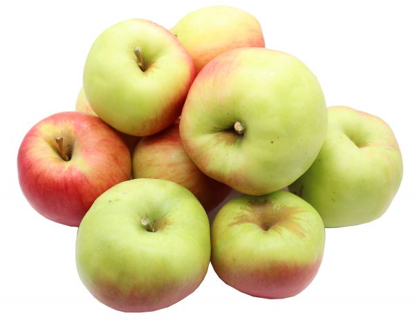 Bleichhof Äpfel Cadel – süß-säuerliche feste Sorte aus der Pfalz (5kg) neue Ernte